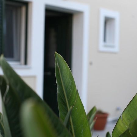 Aeraki Apartment Lefkada City Ngoại thất bức ảnh